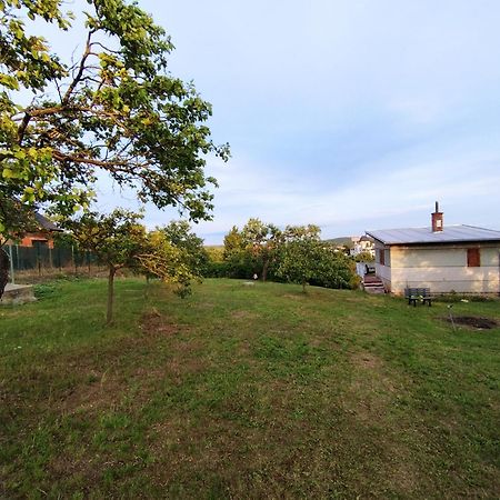 Wine House Znojmo Vila Exterior foto